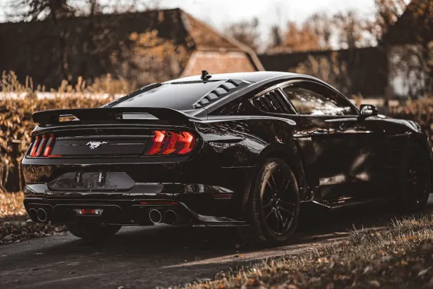 Bizz Cazino Cazinou Aplicație Android/iOS